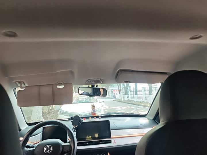 Dongfeng Nammi Nano EX1 2022 2022款 追风版 331KM 标准型