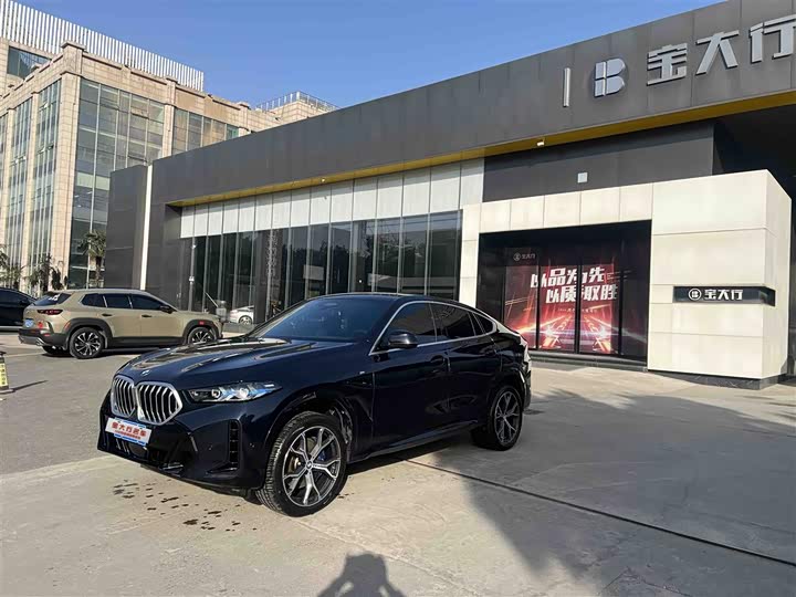 2023 BMW X6