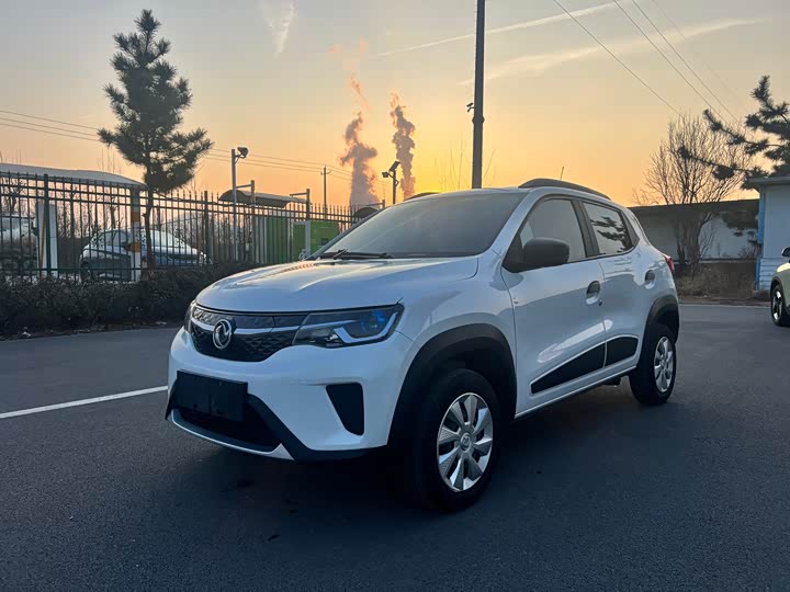 Dongfeng Nammi Nano EX1 Pro 2021 2021款 质行版