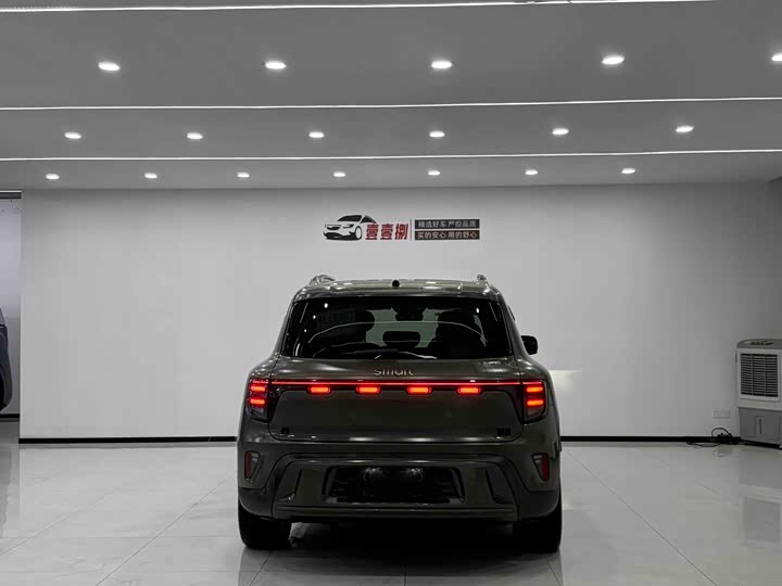 Smart #5 2024 2024款 丛林之境 限量版