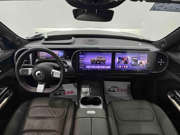 Smart #5 2024 2024款 丛林之境 限量版