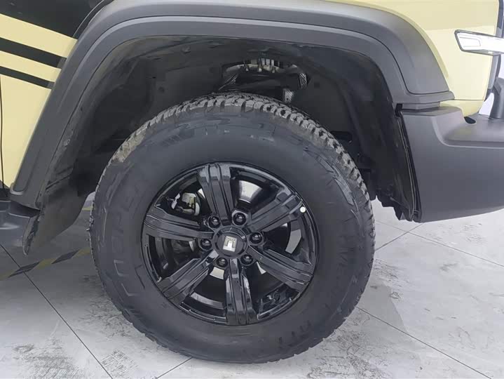 Tank 300 2024 2024款 2.0T 征服者