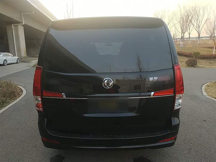 Dongfeng Forthing Lingzhi Plus 2021 2021款 2.0L 手动舒适型 7座
