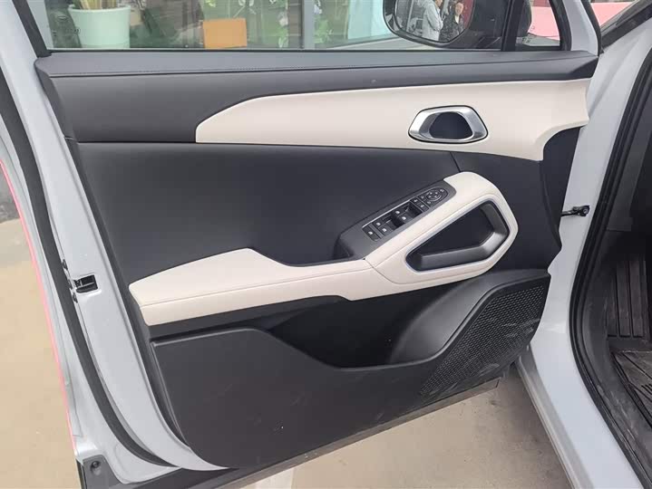 BYD Yuan Up 2025 2025款 智驾版 401KM 领先型