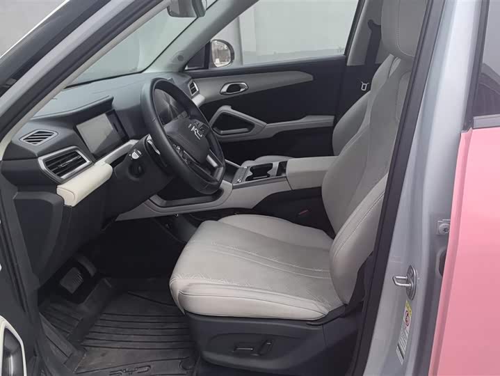 BYD Yuan Up 2025 2025款 智驾版 401KM 领先型