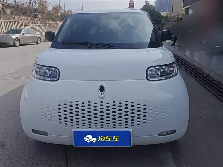 Ora White Cat 2020 2020款 305km 豪华型