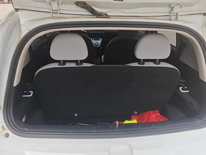 Ora White Cat 2020 2020款 305km 豪华型