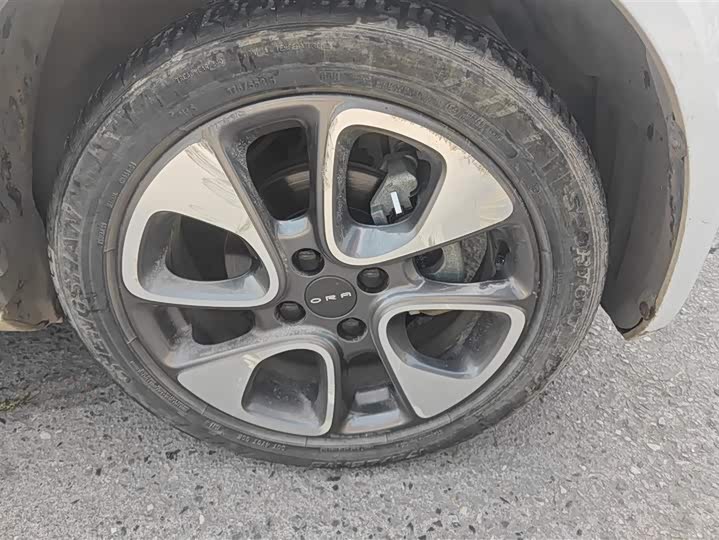 Ora White Cat 2020 2020款 305km 豪华型