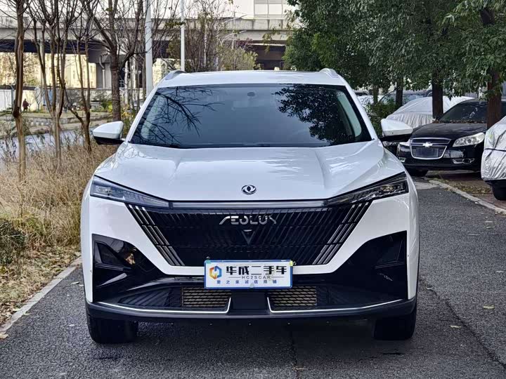 Dongfeng Aeolus Haohan 2023 2023款 1.5T 豪华版