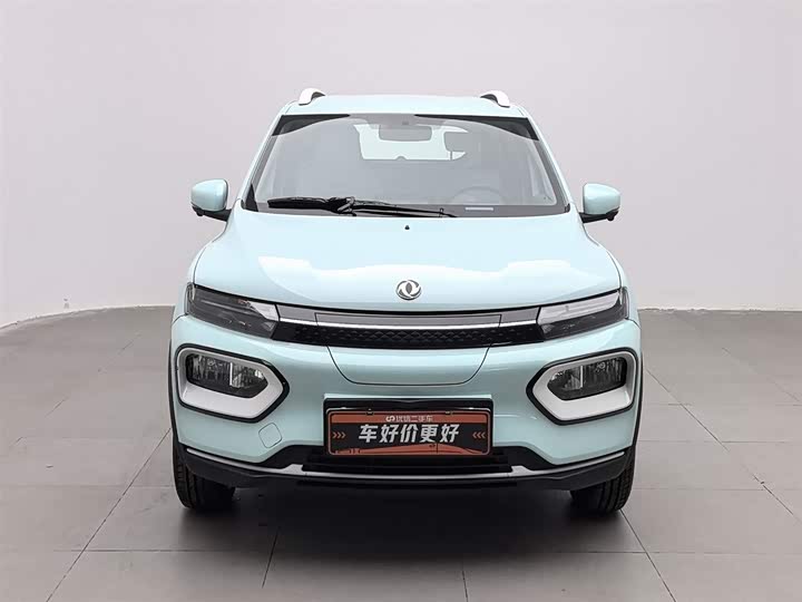 Dongfeng Nammi Nano EX1 2022 2022款 追风版 331KM 标准型