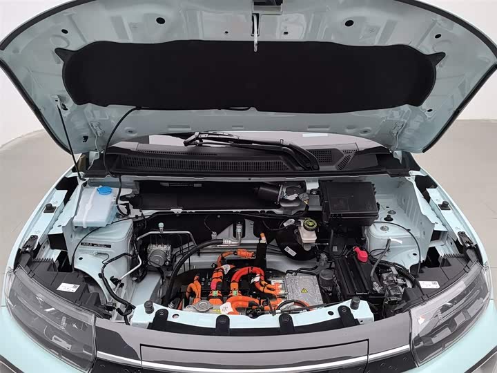 Dongfeng Nammi Nano EX1 2022 2022款 追风版 331KM 标准型