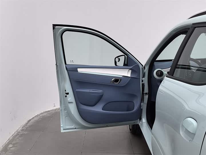 Dongfeng Nammi Nano EX1 2022 2022款 追风版 331KM 标准型