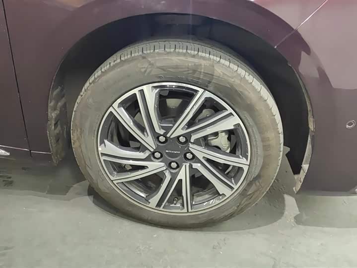 Maxus G90 2022 2022款 2.0T 星际七座版