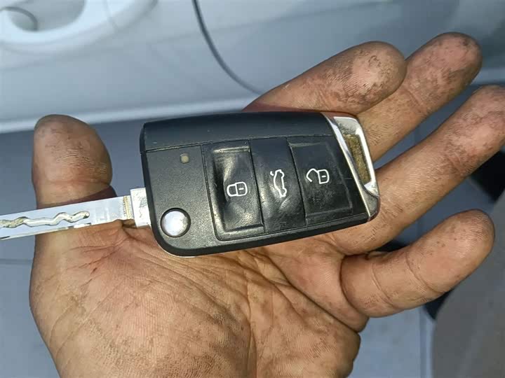 Volkswagen Lavida 2024 2024款 1.5L 自动得逸版