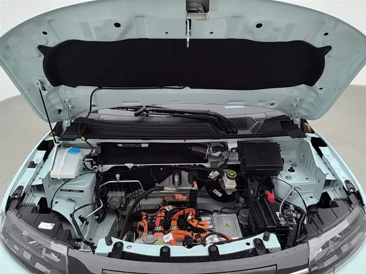 Dongfeng Nammi Nano EX1 2022 2022款 追风版 331KM 进阶型