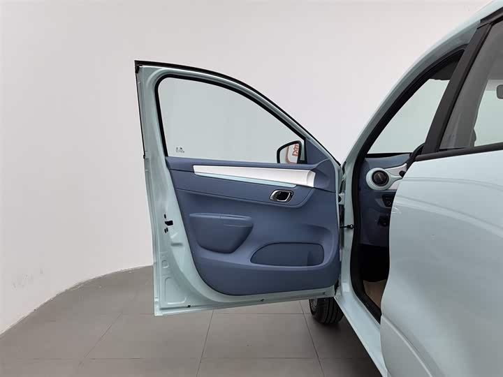 Dongfeng Nammi Nano EX1 2022 2022款 追风版 331KM 进阶型