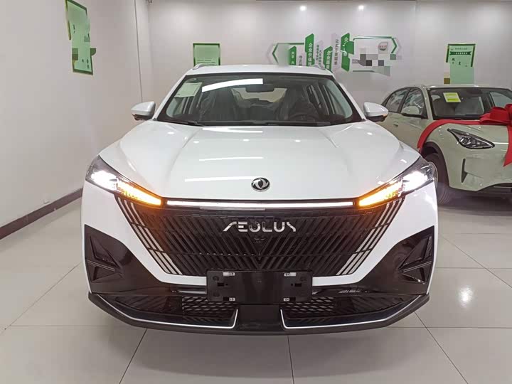 Dongfeng Aeolus Haohan 2023 2023款 1.5T 豪华版