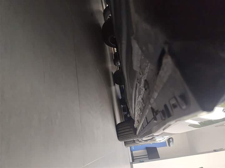 Volkswagen Golf 2025 2025款 300TSI R-Line