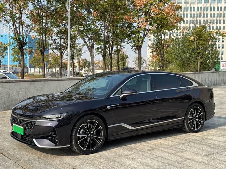 Voyah Passion 2024 2024款 PHEV 四驱超长续航旗舰版