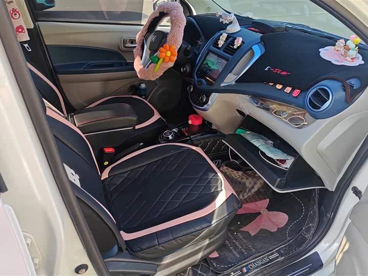 Changan BenBen E-Star 2021 2021款 国民版 多彩款 磷酸铁锂（31.86kWh）