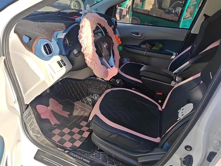 Changan BenBen E-Star 2021 2021款 国民版 多彩款 磷酸铁锂（31.86kWh）