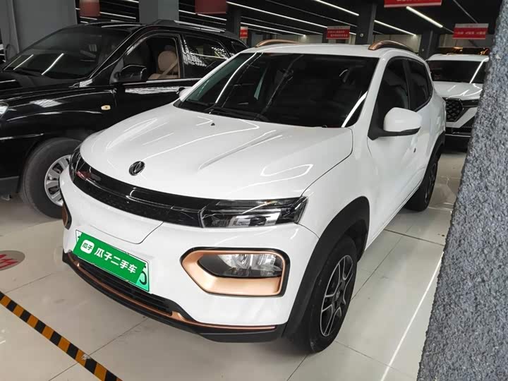 Dongfeng Nammi Nano EX1 2022 2022款 轻风版 201KM 闪电型
