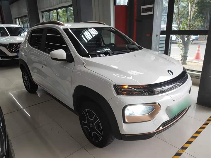 Dongfeng Nammi Nano EX1 2022 2022款 轻风版 201KM 闪电型