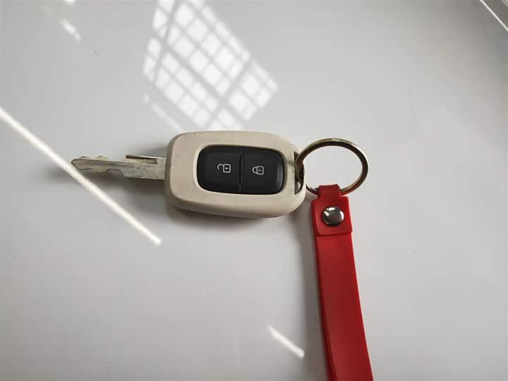 Dongfeng Nammi Nano EX1 2022 2022款 轻风版 201KM 闪电型