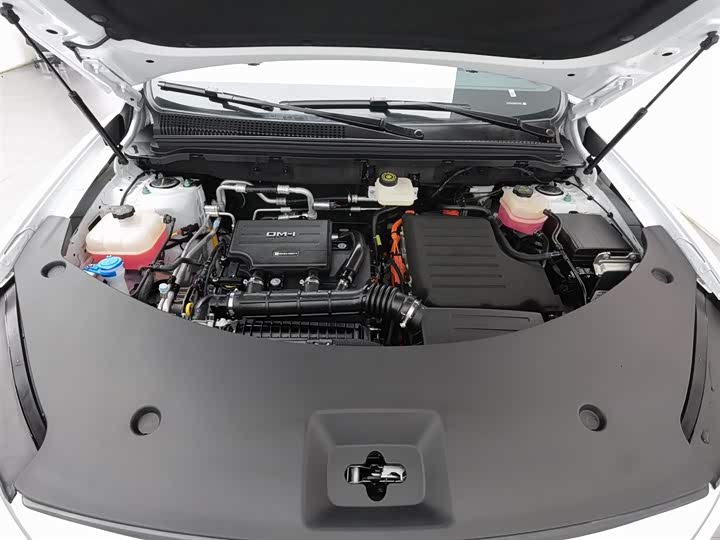 BYD Song Pro Hybrid 2025 2025款 第二代 智驾版 DM-i 115KM卓越型