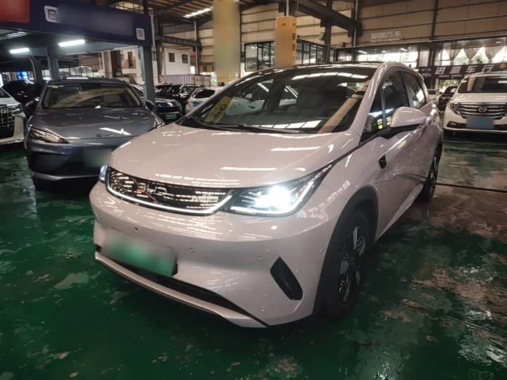 BYD Dolphin 2025 2025款 智驾版 410km 时尚版