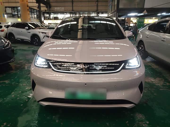 BYD Dolphin 2025 2025款 智驾版 410km 时尚版