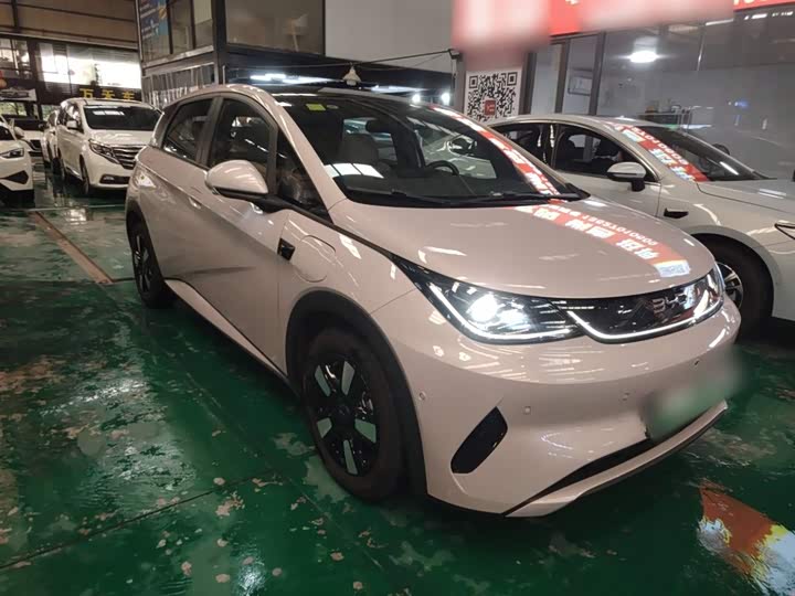 BYD Dolphin 2025 2025款 智驾版 410km 时尚版