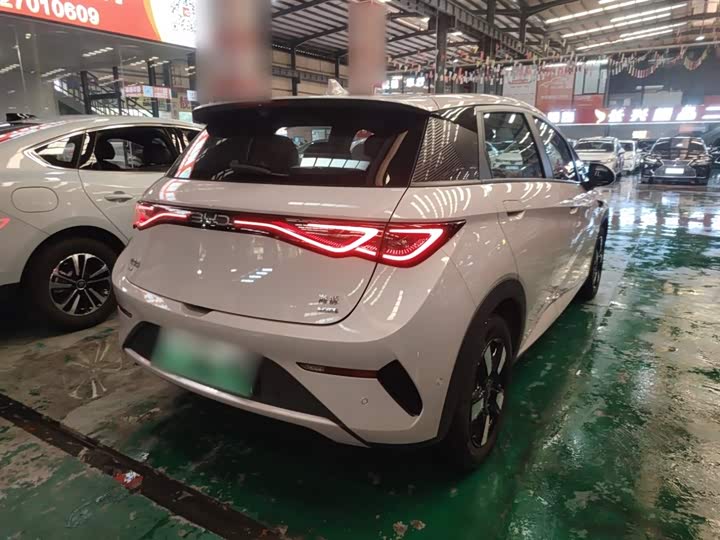 BYD Dolphin 2025 2025款 智驾版 410km 时尚版