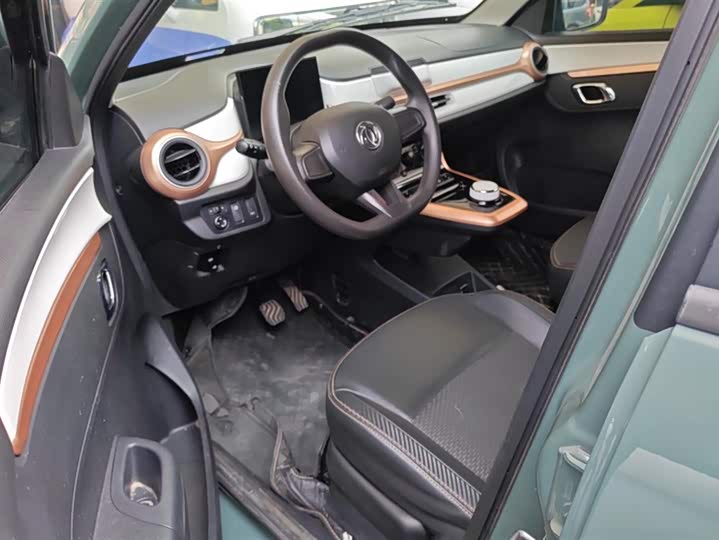 Dongfeng Nammi Nano EX1 2022 2022款 冠军款 轻风版 201KM 标准型