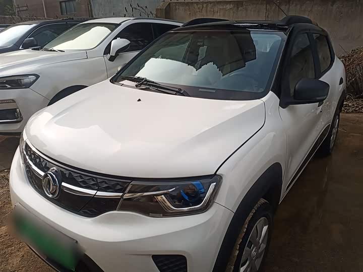 Dongfeng Nammi Nano EX1 Pro 2021 2021款 质灵版