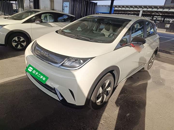 BYD Dolphin 2025 2025款 420km 自由版