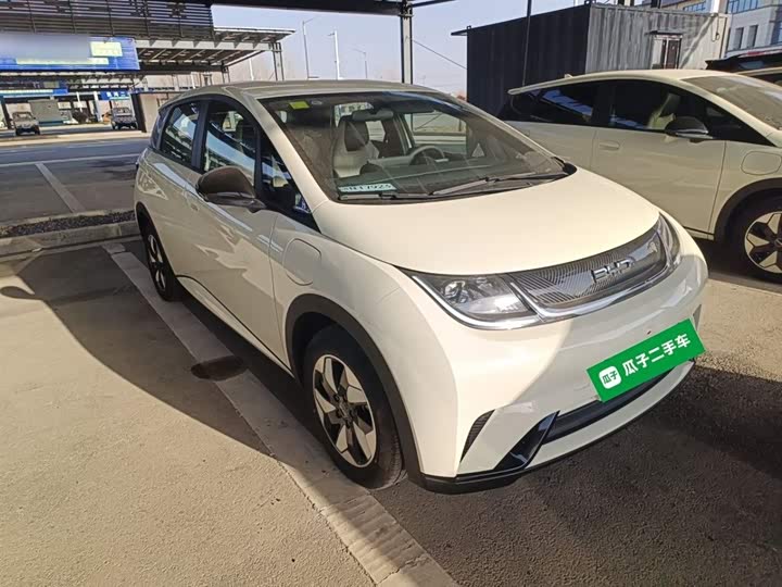 BYD Dolphin 2025 2025款 420km 自由版