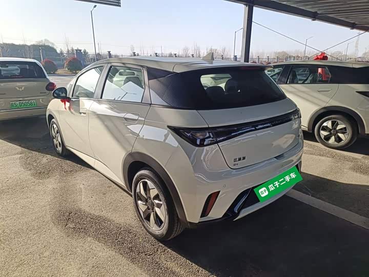 BYD Dolphin 2025 2025款 420km 自由版