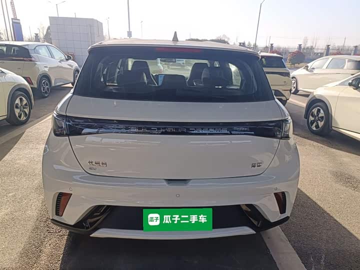 BYD Dolphin 2025 2025款 420km 自由版