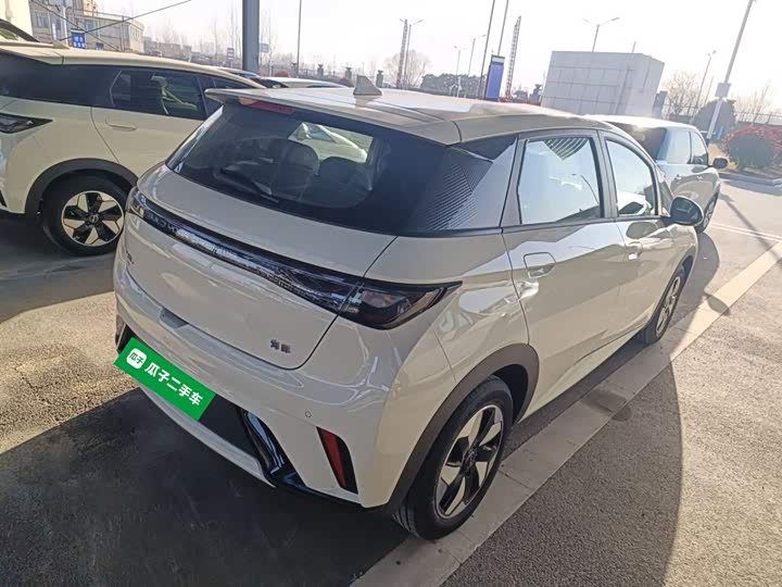 BYD Dolphin 2025 2025款 420km 自由版