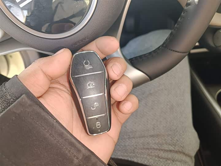 BYD Dolphin 2025 2025款 420km 自由版