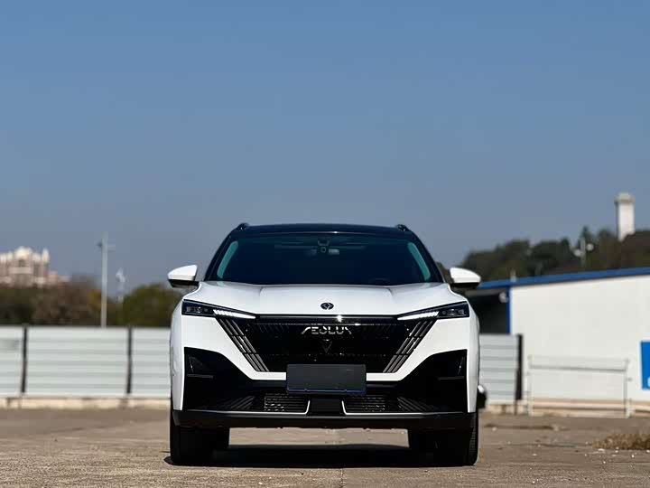 Dongfeng Aeolus Haohan 2023 2023款 1.5T 豪华版