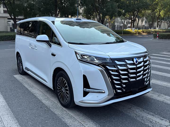 Denza D9 2025 2025款 DM-i 智驾版 1020 四驱旗舰型