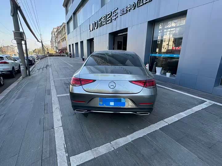 Mercedes-Benz CLS-Class 2023 2023款 CLS 300 动感型