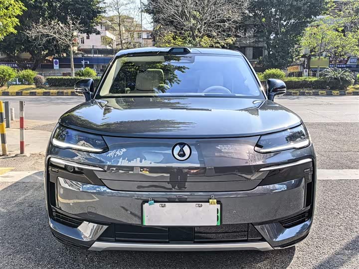 Denza N9 2025 2025款 尊荣型