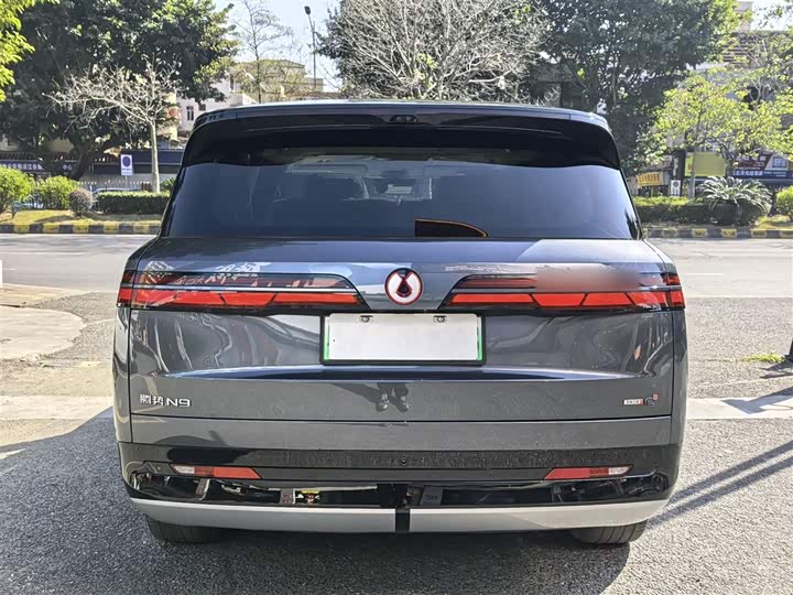 Denza N9 2025 2025款 尊荣型