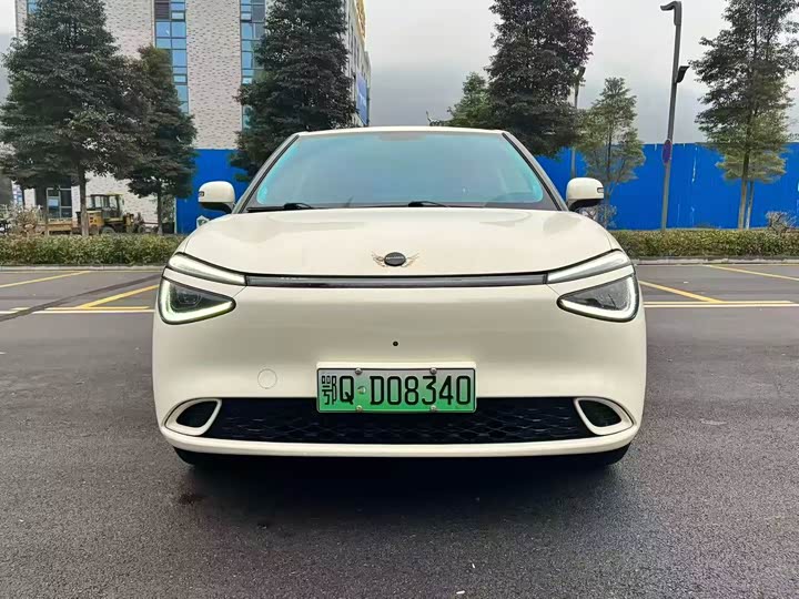Dongfeng Nammi 01 2024 2024款 330 Plus智+