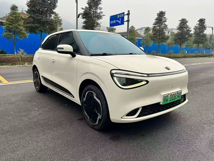 Dongfeng Nammi 01 2024 2024款 330 Plus智+