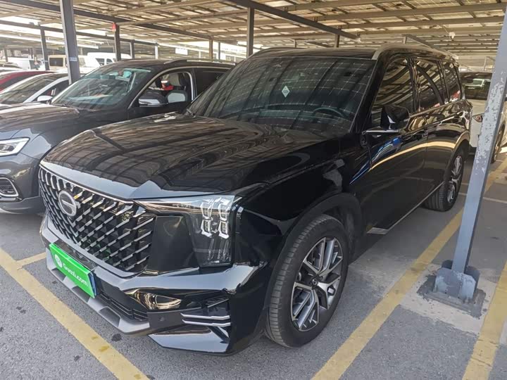 GAC Trumpchi GS8 2025 2025款 领航系列 2.0TGDI 两驱豪华版 5座