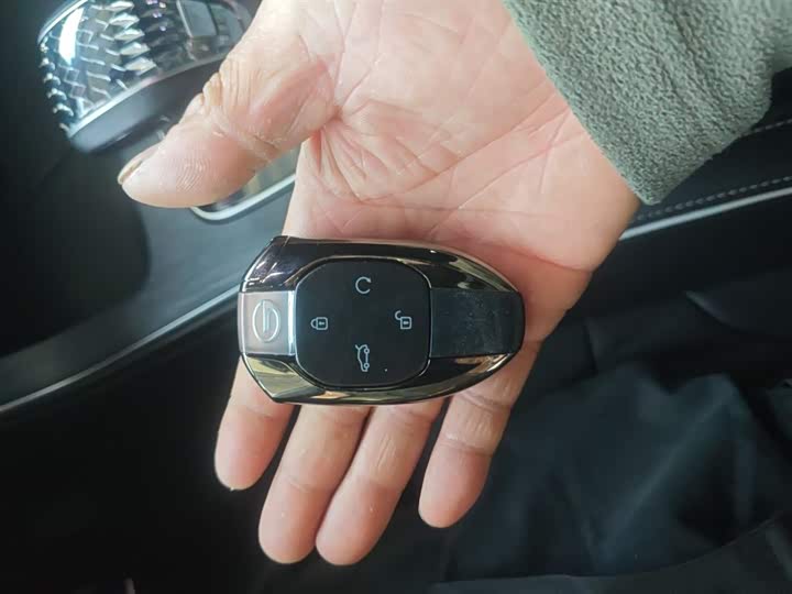 GAC Trumpchi GS8 2025 2025款 领航系列 2.0TGDI 两驱豪华版 5座